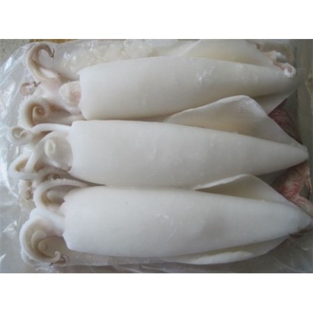CALAMARI PULITI PACIFICO U5 BLOC KG.1.4